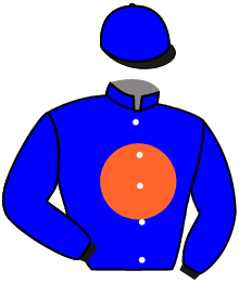 Casaque du n°11 — ZASYMOKA