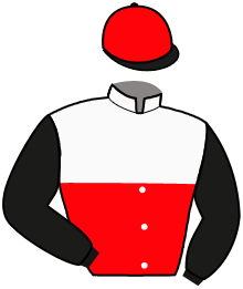 Casaque du n°2 — ALSABA
