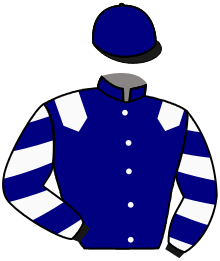 Casaque du n°3 — FEVE