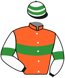 Casaque du n°5 — LINFASOMMER