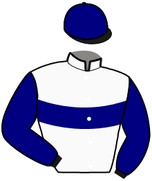 Casaque du n°1 — MAGELLAN DELO