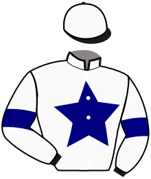 Casaque du n°11 — MAJOR DE L'ECORCE