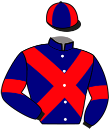 Casaque du n°3 — LOUSTIC DE DALINE