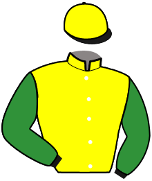 Casaque du n°11 — KRONOS MADRIK