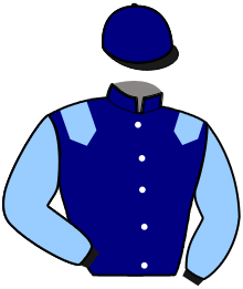 Casaque du n°1 — IRPIEU DE VARVILLE