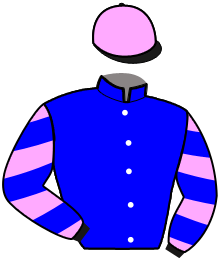 Casaque du n°5 — KALISTO FALINE