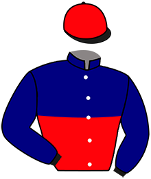 Casaque du n°2 — KOUIDITCH D'ABOMEY