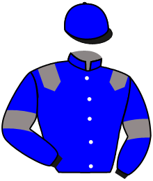 Casaque du n°7 — BALTFOOT FAL