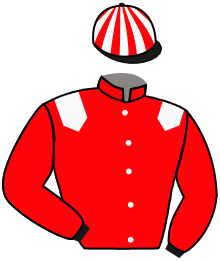 Casaque du n°6 — IMPERIAL EIGHT