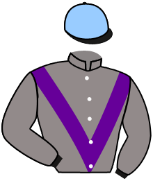 Casaque du n°4 — KING THISTLE