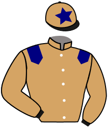 Casaque du n°5 — MAVERICK PREMIER