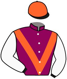 Casaque du n°7 — PARVA SCURRA