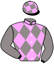 Casaque du n°8 — VINO