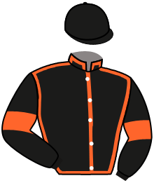 Casaque du n°2 — MONDIALEO