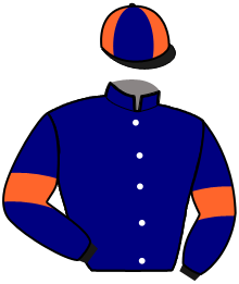 Casaque du n°16 — MANY LOULOU