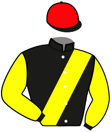 Casaque du n°2 — NIKAIA WIND
