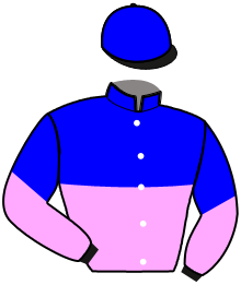 Casaque du n°10 — MISS DU RABUTIN
