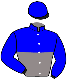 Casaque du n°10 — LITTLE MARCEAUX