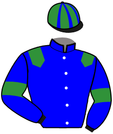 Casaque du n°4 — LYCELE D'ASNOIS