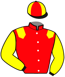 Casaque du n°8 — LINO DE LA VALLEE
