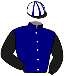 Casaque du n°14 — KIM BLUE