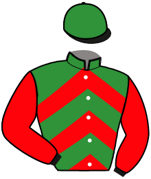 Casaque du n°4 — KOKO DU CANTER