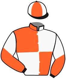 Casaque du n°16 — LUANA SPORT