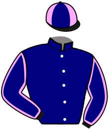 Casaque du n°8 — LUEUR DES LANDES