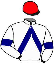 Casaque du n°6 — HORACIO DE CERISY
