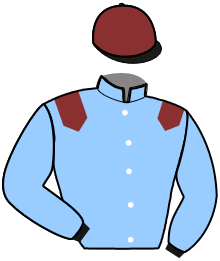 Casaque du n°6 — LOU DU DERBY