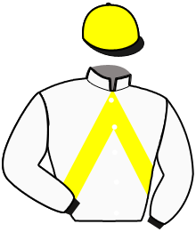 Casaque du n°7 — OZZARO DIBAH