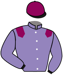 Casaque du n°4 — VENEZIA QUEEN