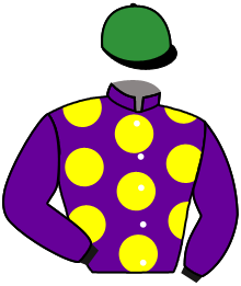 Casaque du n°4 — LISEO