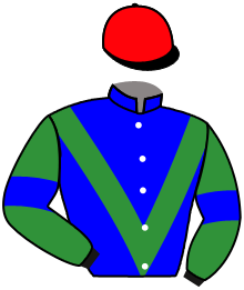Casaque du n°1 — TIMUR