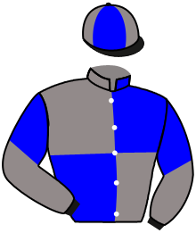 Casaque du n°1 — FOXEY LADY