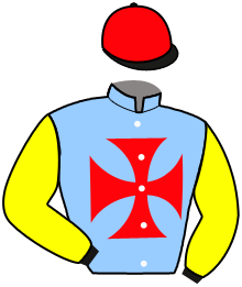 Casaque du n°8 — GAIDAR