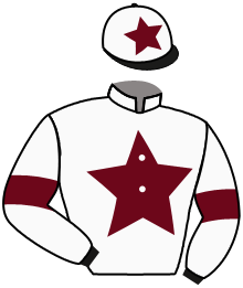 Casaque du n°10 — IRON TRIUMPH