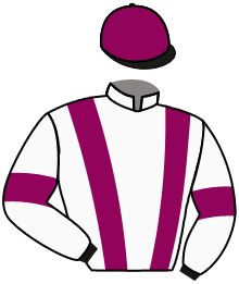 Casaque du n°10 — EVERILLO
