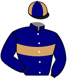 Casaque du n°11 — PRINCE DES VILLES
