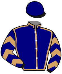 Casaque du n°11 — ASHFORD HILL