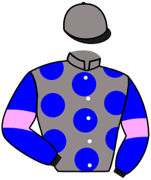 Casaque du n°5 — MYSTIC UNICORN