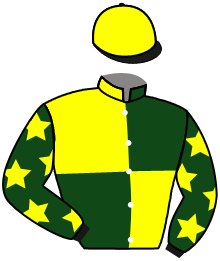 Casaque du n°10 — ELVETHAM