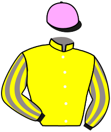 Casaque du n°11 — MASTER DANDY