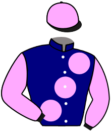 Casaque du n°12 — VITALLINE