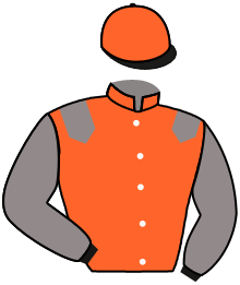 Casaque du n°4 — FEDERAL ENVOY