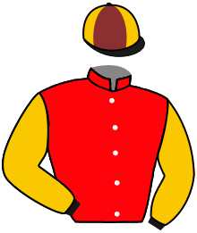 Casaque du n°5 — TWILIGHT MADNESS