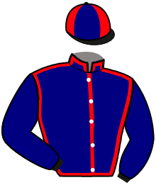 Casaque du n°12 — KERYVON FARM
