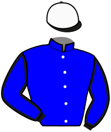 Casaque du n°7 — NATIVE DU TRIO