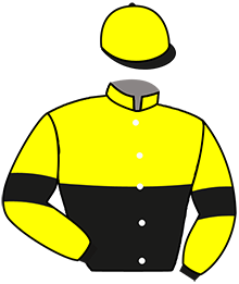 Casaque du n°1 — LOUSTIC DU LAYON