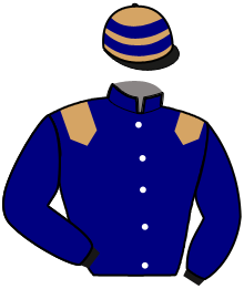 Casaque du n°10 — LEO DES PIECES